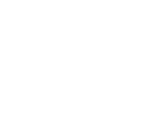 RG_Logo_White_480pixels